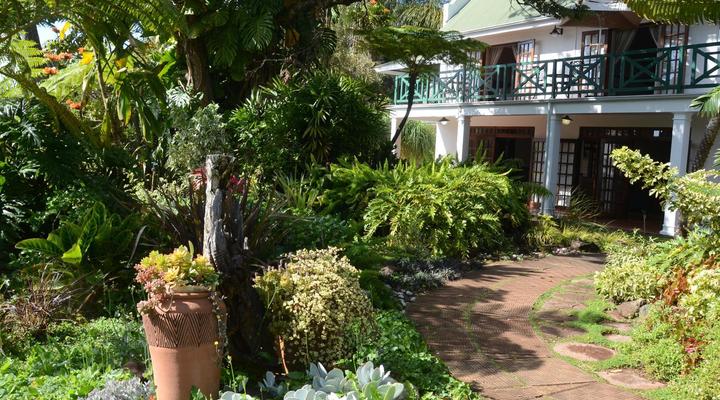 Cuckoo's Nest Guest House