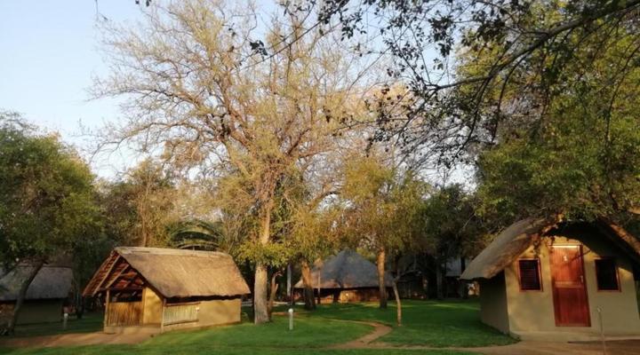 Shumba Safari Lodge