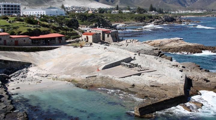 Penguino Guest House