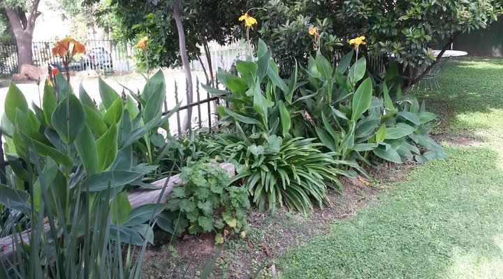 Boer & Brit Self-catering