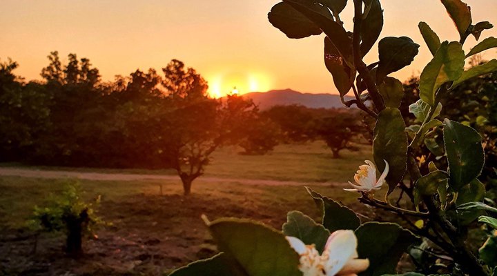 Mamagalie Mountain Lodge