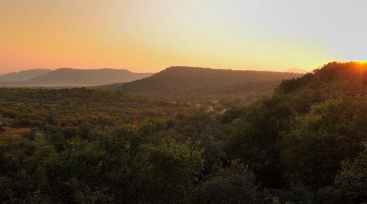 Buffalo Ridge Safari Lodge