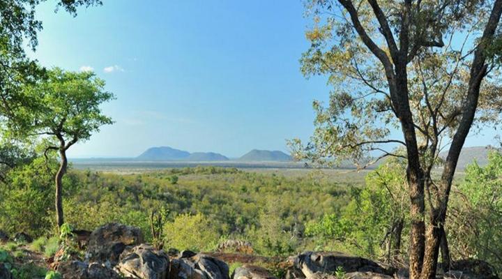 Buffalo Ridge Safari Lodge