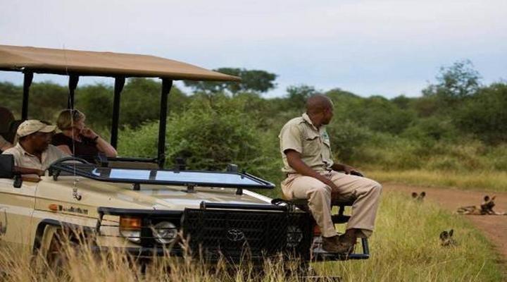 Buffalo Ridge Safari Lodge