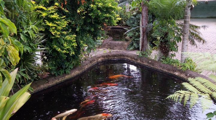 African Ambience Guesthouse