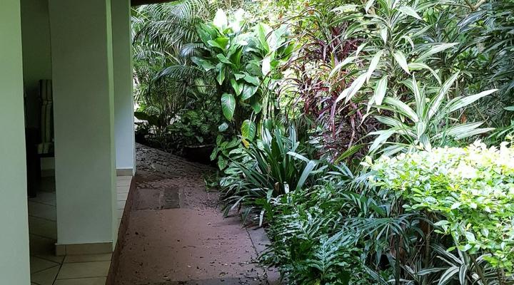 African Ambience Guesthouse