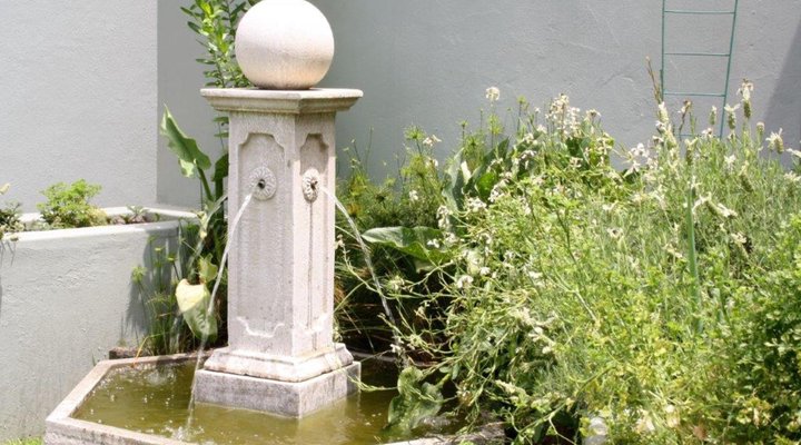 The Hilton Bed and Breakfast