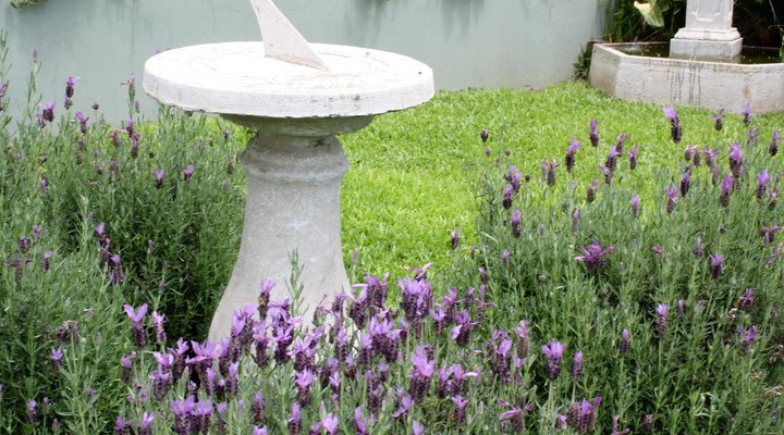 The Hilton Bed and Breakfast