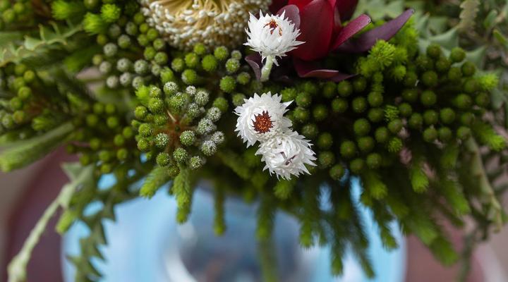 Aire del Mar Guesthouse