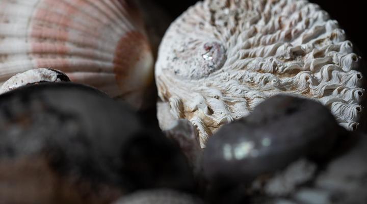 Aire del Mar Guesthouse