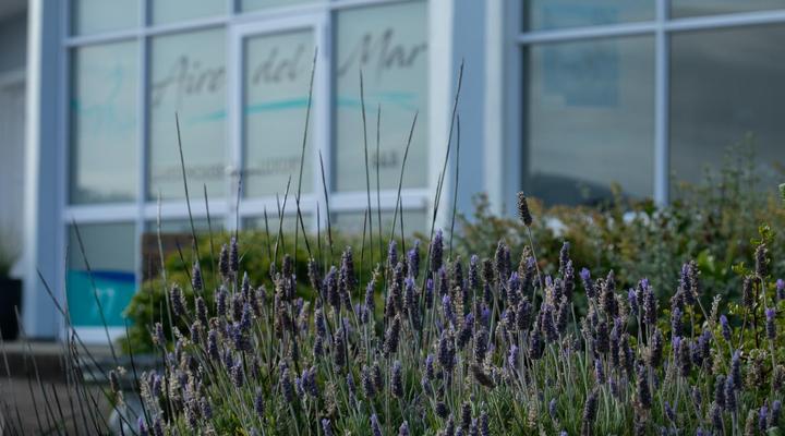 Aire del Mar Guesthouse