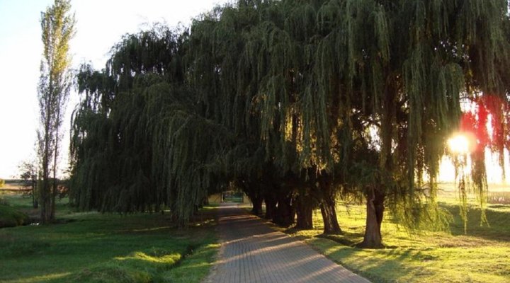 Willow Lane Country Lodge