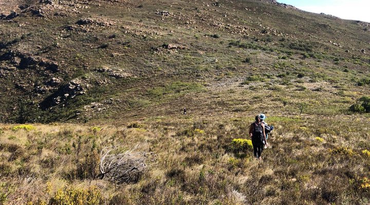 Oude Compagnies Post