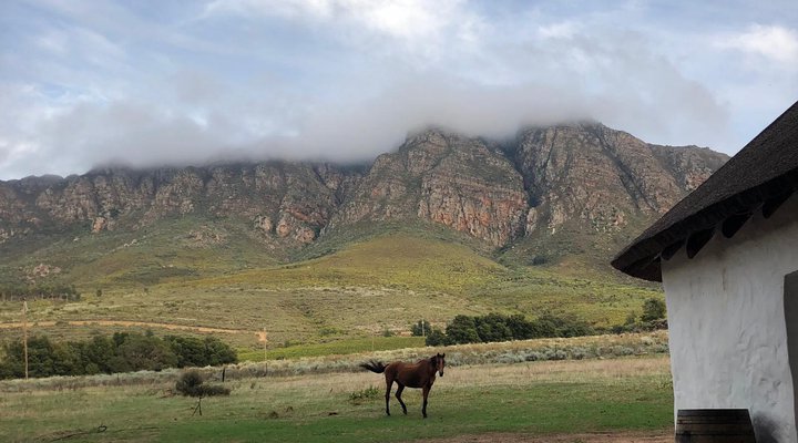 Oude Compagnies Post