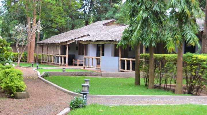 Honey Badger Lodge, Safaris and Mountain Climbing