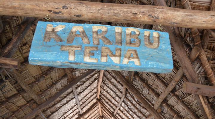 Honey Badger Lodge, Safaris and Mountain Climbing