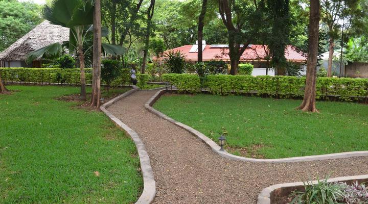 Honey Badger Lodge, Safaris and Mountain Climbing