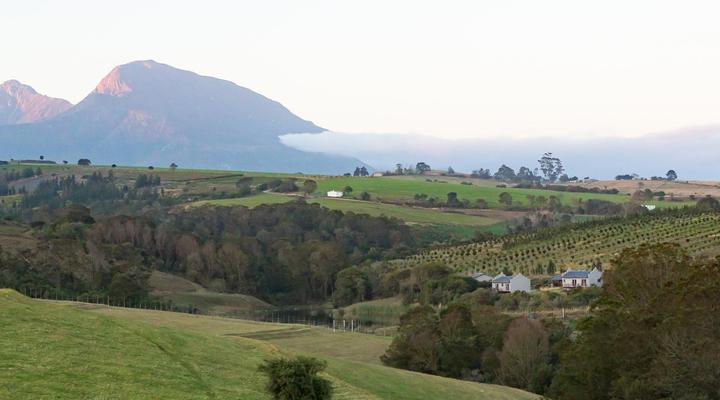 Hakuna Matata Game Farm