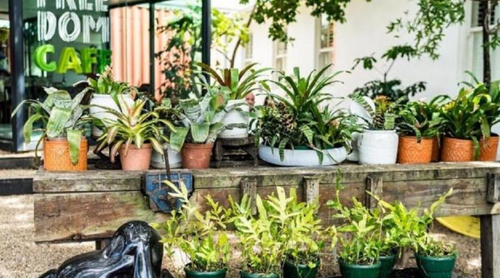 The Concierge Boutique Bungalows