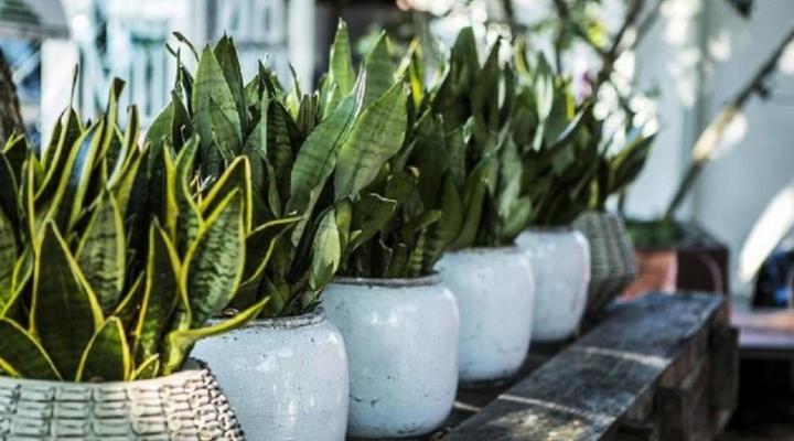 The Concierge Boutique Bungalows