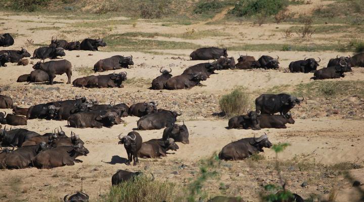 Henk van Rooyen Park