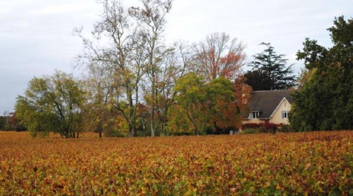 Belfield Farm Cottages