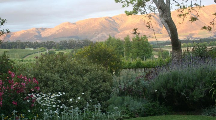 Belfield Farm Cottages