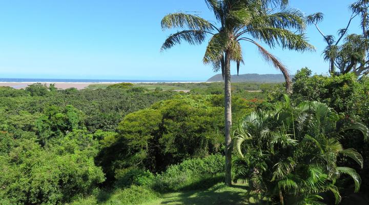 Little Eden St Lucia