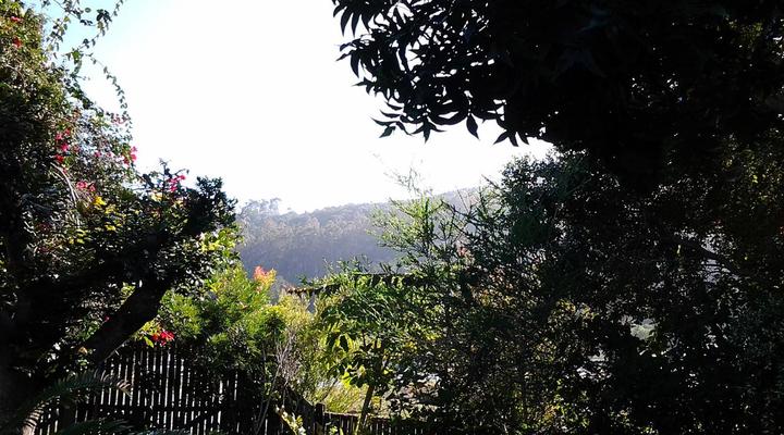 Forest View Guest House and B&B