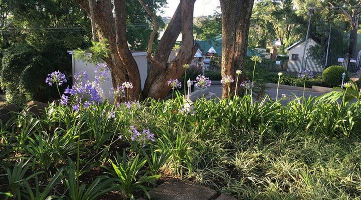 Peaches and Cream B&B