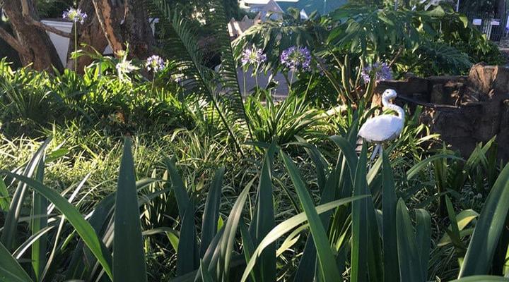 Peaches and Cream B&B