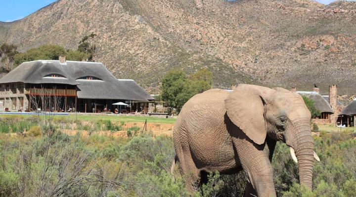 Aquila Private Game Reserve