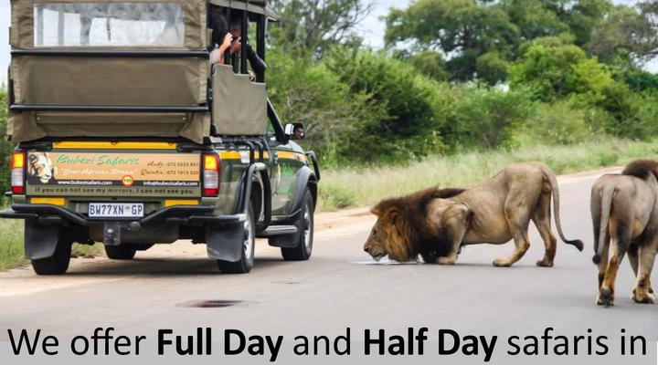 Safari Bed & Breakfast