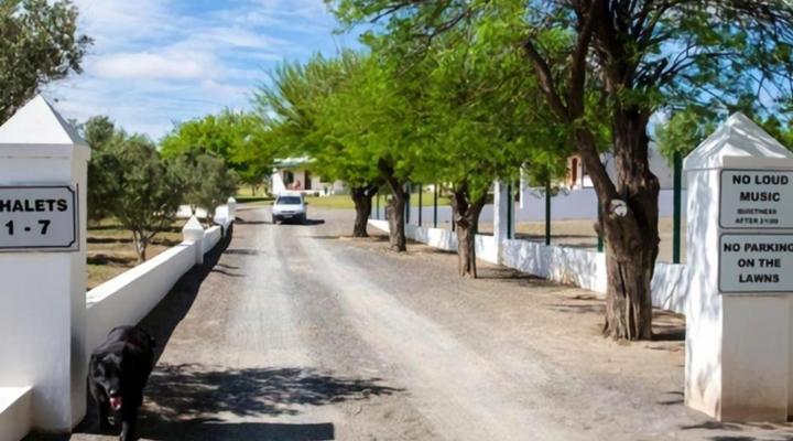 Olive Grove Guest Farm