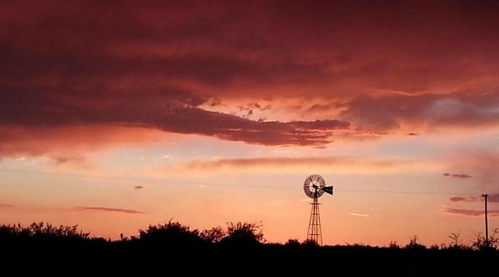 Olive Grove Guest Farm