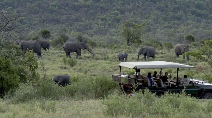 Amanzi Private Game Reserve