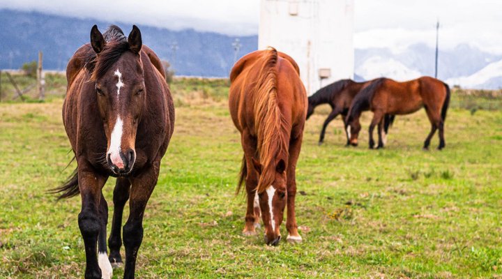 Essere Lodge Guest House
