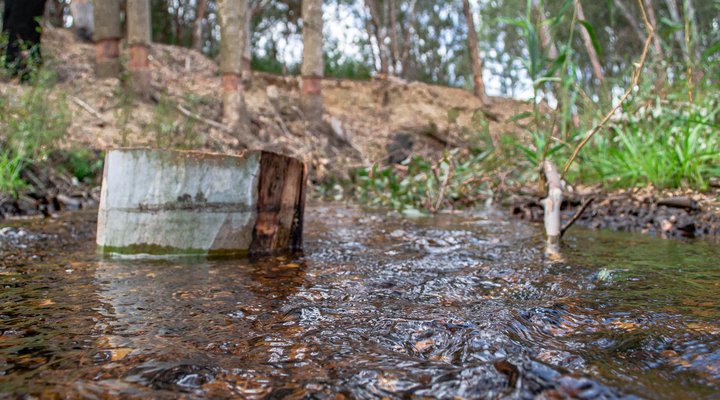 Essere Lodge Guest House