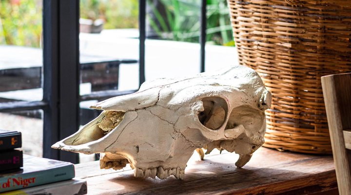 Essere Lodge Guest House