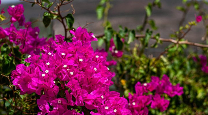 Essere Lodge Guest House