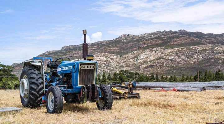 Essere Lodge Guest House