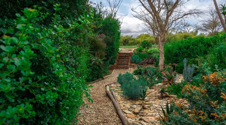 Essere Lodge Guest House