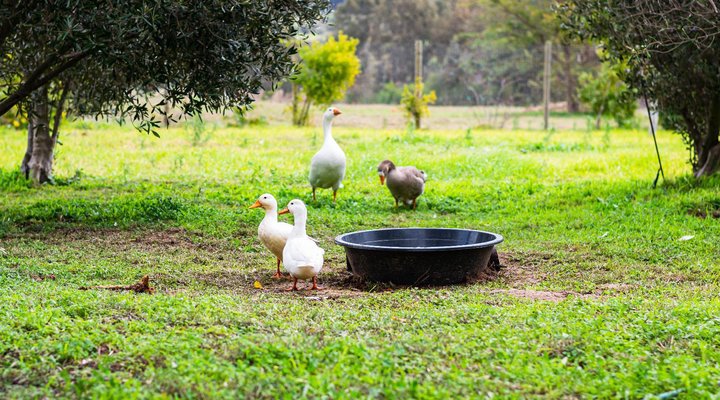 Essere Lodge Guest House