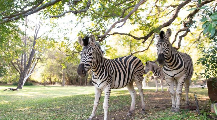 Blyde River Canyon Lodge