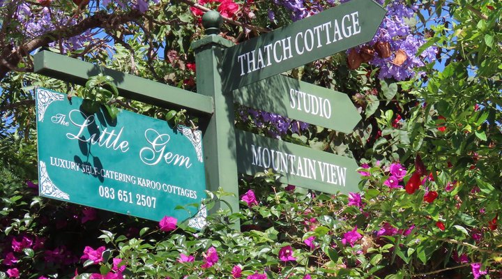 The Little Gem Montagu