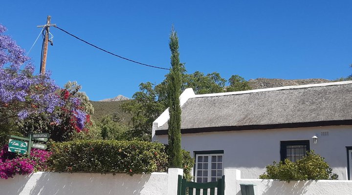 The Little Gem Montagu