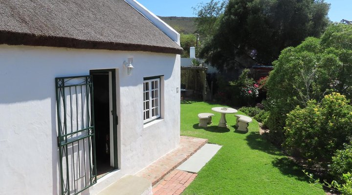 The Little Gem Montagu