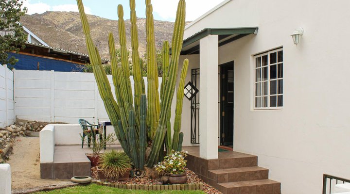 The Little Gem Montagu