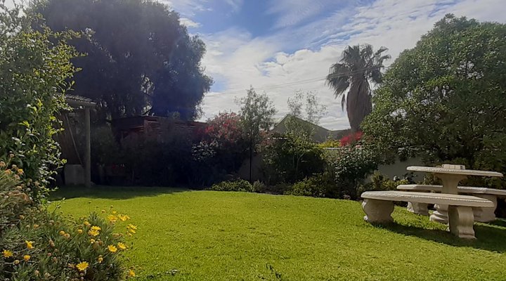 The Little Gem Montagu