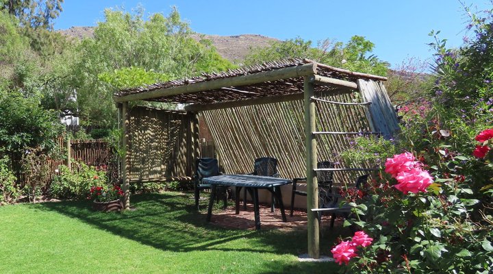 The Little Gem Montagu